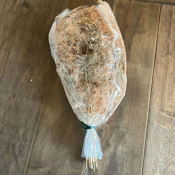 Anthropologie Preserved Fern - Picture 1 of 3